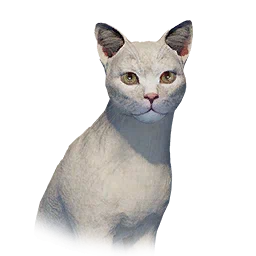 Slim Cat