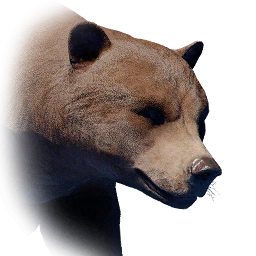 熊
