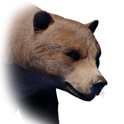 熊
