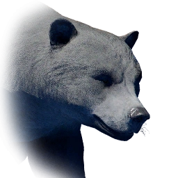 灰熊