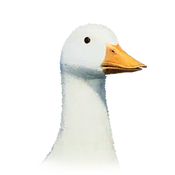 Pato domado