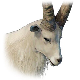 Icicle Edge Alpine Ibex