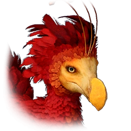 Kuku balzadirupi