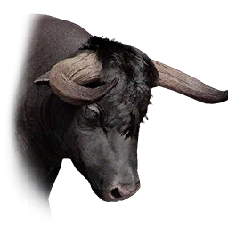 Vaca