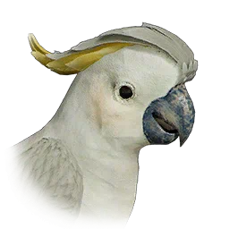 Cacatúa de cresta amarilla
