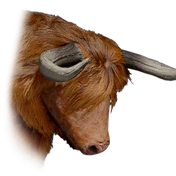 Bovino degli altipiani
