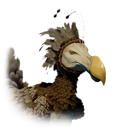 Pájaro kuku