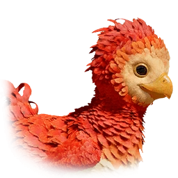 Cucciolo di Kuku