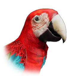 Loro