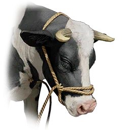 Vaca lechera con cabestro