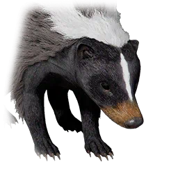 Stinktier