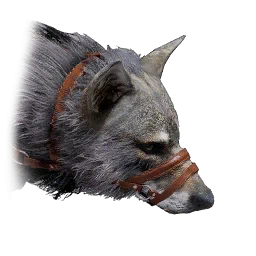 Lupo catturato