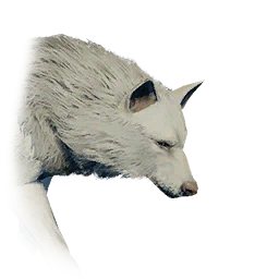 Grande lupo bianco