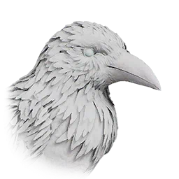 Cuerva Blanca