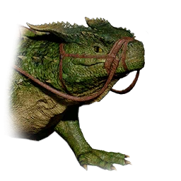 Giant Green Iguana