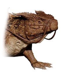 Giant Red Iguana