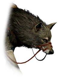 Swift Wolf