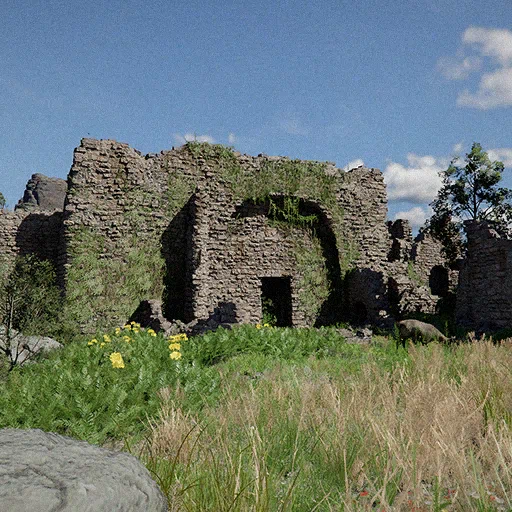 Ruins Investigation