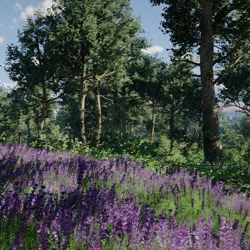 Herbs of Vitality