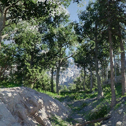 Small Horn in the Forest