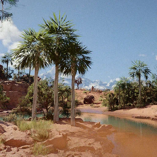 Rest at the Oasis