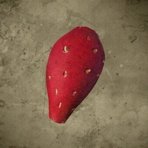 Halted Prickly Pear Research