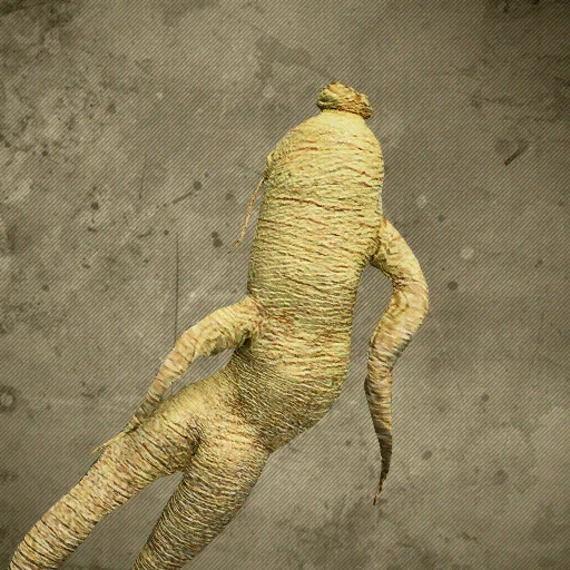 Wild Ginseng Research Halted