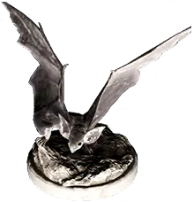 Chiroptera Heykeli