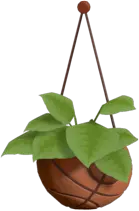 Upcycled Hanging Plant