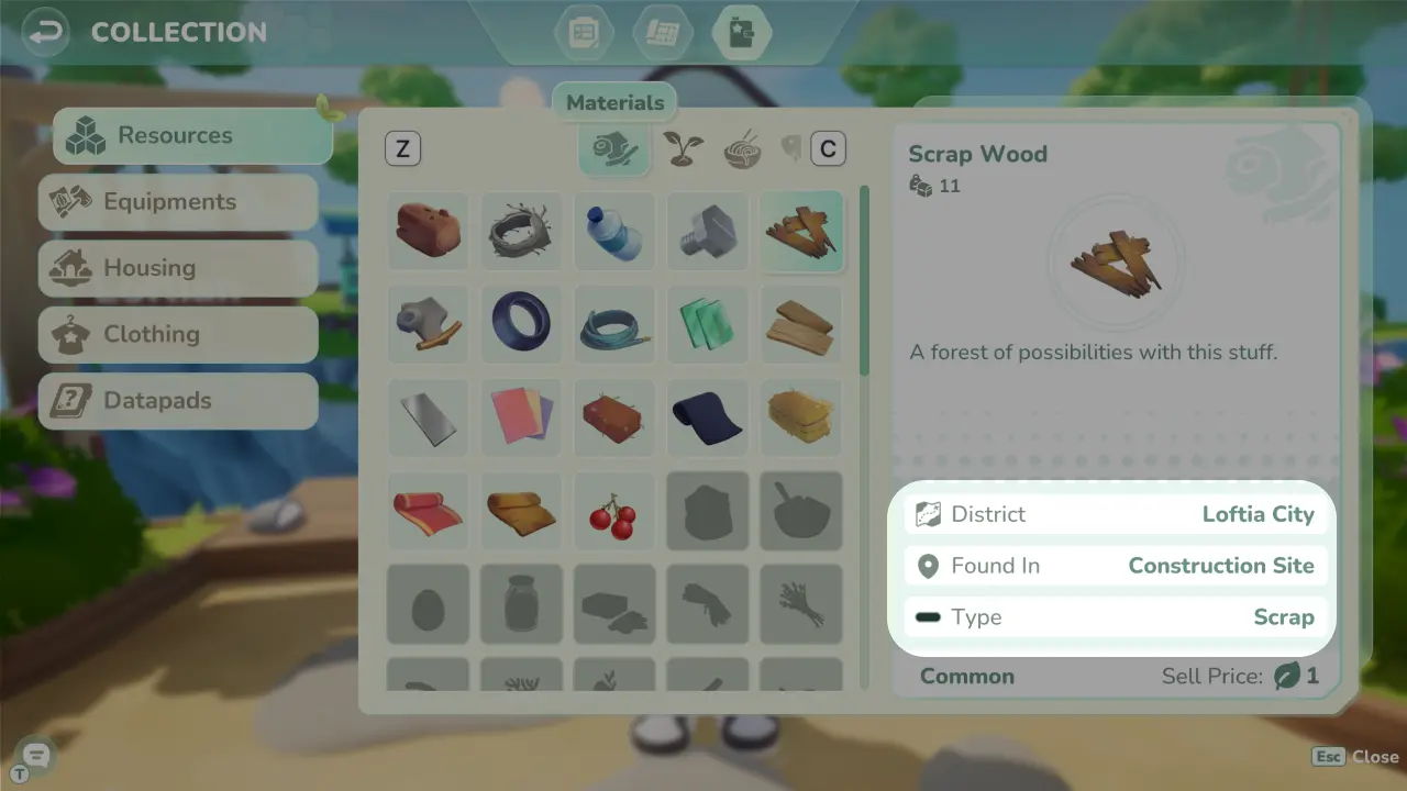 Collection Screen