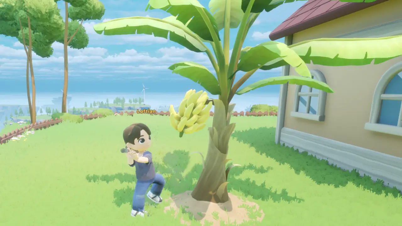 Collecting Fruits