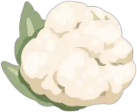 Cauliflower