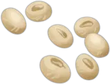 Soybeans
