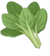 Spinach