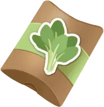 Spinach Seed