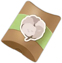 Cotton Seed