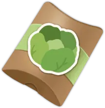 Lettuce Seed