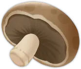 Portobello Mushrooms