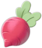 Radish