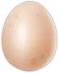 Egg