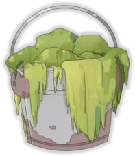Sewer Algae