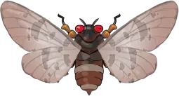 Common