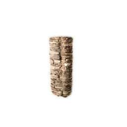 Columna de cimiento de gneis