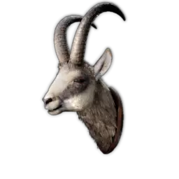 Chamois Trophy