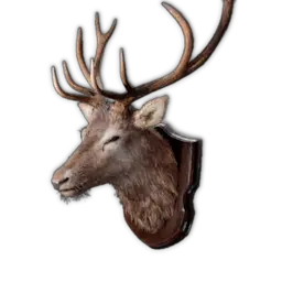 Stag Trophy