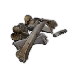 Fragmentos de hueso