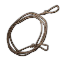 Bow String