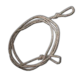 Fine Bow String