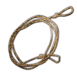 Rough Bow String