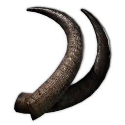 Animal Horn